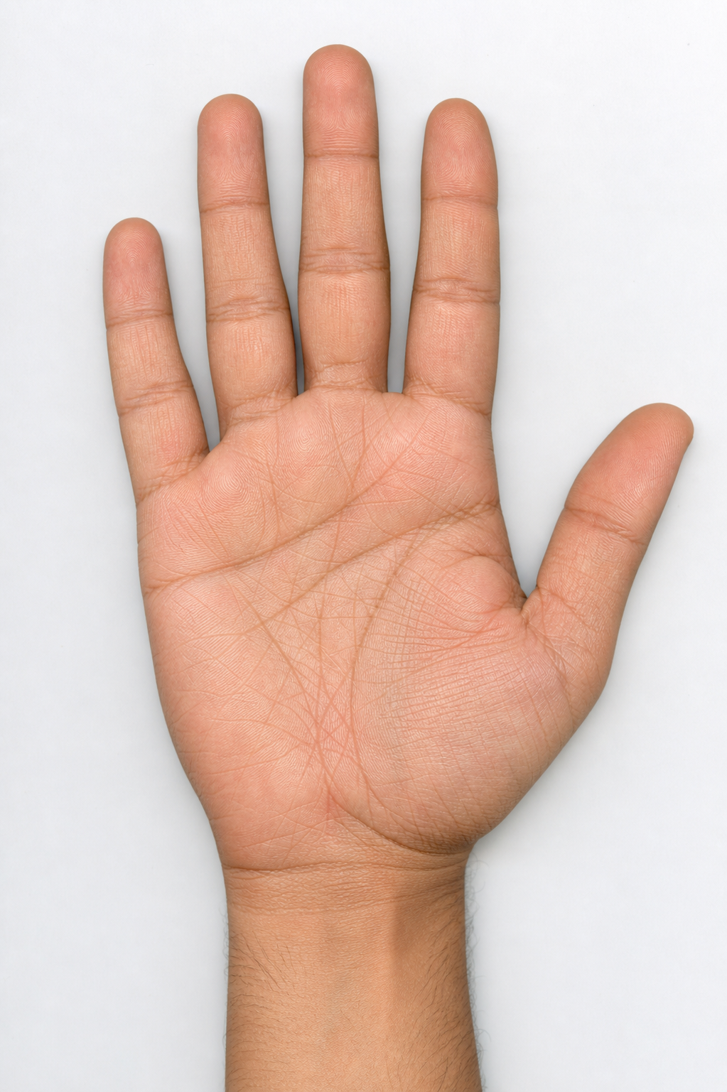 Scan-style sample palm